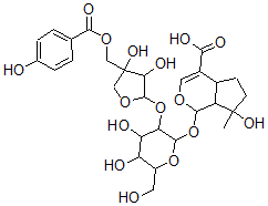 CAS#: 160492-63-7, 1-[3-[3,4-Dihydroxy-4-[(4-Hydroxybenzoyl)Oxymethyl]Oxolan-2-Yl]Oxy-4,5-Dihydroxy-6-(Hydroxymethyl)Oxan-2-Yl]Oxy-7-Hydroxy-7-Methyl-4a,5,6,7a-Tetrahydro-1H-Cyclopenta[d]Pyran-4-Carboxylic Acid