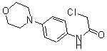 CAS 登录号：170655-46-6， 2-氯-N-[4-(4-吗啉基)苯基]-乙酰胺