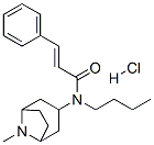 CAS#: 171261-31-7, (E)-N-Butyl-N-(8-Methyl-8-Azabicyclo[3.2.1]Octan-3-Yl)-3-Phenylprop-2-Enamide Hydrochloride