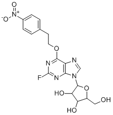 CAS 登录号：171284-49-4， 2-氟-6-O-[2-(4-硝基苯基)乙基]肌苷