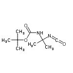 CAS 登录号：187107-80-8， 2-甲基-2-丙基(2-异氰酸-2-丙基)氨基甲酸酯