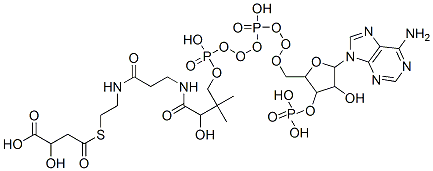 CAS 登录号：2043-93-8， 辅酶 A S-(3-羧基-3-羟基丙酸酯)