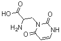 CAS 登录号：21381-33-9， (aS)-alpha-氨基-3,6-二氢-2,6-二氧代-1(2H)-嘧啶丙酸