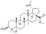 CAS#: 2259-06-5, 28-O-Methylbetulinic Acid