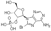 CAS 登录号:23583-49-5, 8-溴-2'-腺苷酸