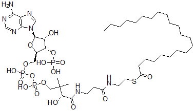 CAS#: 24330-89-0, Behenyl-Coenzyme A