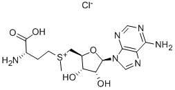 CAS#: 24346-00-7, S-Adenosyl-L-Methionine Chloride