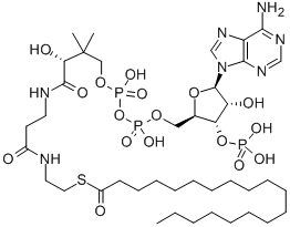 CAS 登录号：25045-61-8， 辅酶 A S-十九烷酸酯