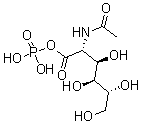 CAS 登录号：25249-56-3， 聚(N-乙酰基葡萄糖胺 1-磷酸酯)
