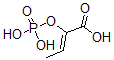 CAS#: 25956-55-2, 2-(Phosphonooxy)-2-Butenoic acid