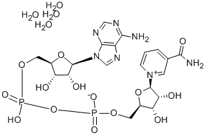 CAS#: 282730-13-6, beta-Nicotinamide Adenine Dinucleotide Tetrahydrate