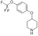 CAS 登录号：287952-67-4， 4-[4-(三氟甲氧基)苯氧基]哌啶