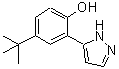 CAS 登录号：288844-49-5， 4-(2-甲基-2-丙基)-2-(1H-吡唑-5-基)苯酚