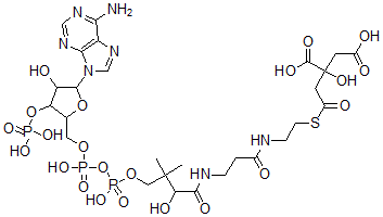 CAS 登录号：3131-26-8， 2-[2-[2-[3-[[4-[[[5-(6-氨基嘌呤-9-基)-4-羟基-3-膦酰氧基四氢呋喃-2-基]甲氧基-羟基磷酰]氧基-羟基磷酰]氧基-2-羟基-3,3-二甲基丁酰基]氨基]丙酰氨基]乙硫基]-2-氧代乙基]-2-羟基丁二酸