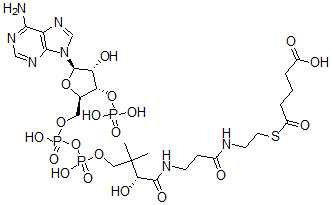 CAS 登录号：3131-84-8， 5-[2-[3-[[(2R)-4-[[[(2R,3S,4R,5R)-5-(6-氨基嘌呤-9-基)-4-羟基-3-膦酰氧基四氢呋喃-2-基]甲氧基-羟基磷酰]氧基-羟基磷酰]氧基-2-羟基-3,3-二甲基丁酰基]氨基]丙酰氨基]乙硫基]-5-氧代戊酸