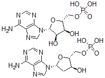 CAS#: 32070-56-7, 2'-deoxy-5'-Adenylic acid polymer 5'-adenylic acid