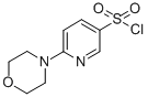 CAS 登录号：337508-68-6， 6-吗啉-4-基-吡啶-3-磺酰氯