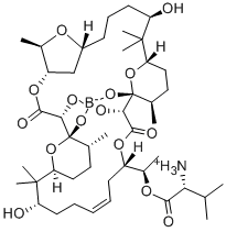 CAS 登录号：34524-20-4， 硼霉素