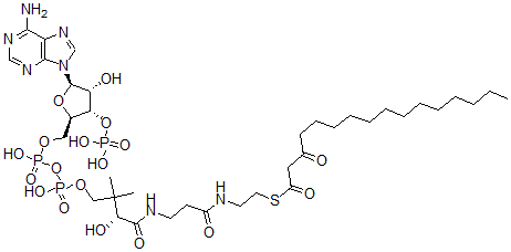 CAS#: 34619-89-1, S-[2-[3-[[(2R)-4-[[[(2R,3S,4R,5R)-5-(6-Aminopurin-9-Yl)-4-Hydroxy-3-Phosphonooxyoxolan-2-Yl]Methoxy-Hydroxyphosphoryl]Oxy-Hydroxyphosphoryl]Oxy-2-Hydroxy-3,3-Dimethylbutanoyl]Amino]Propanoylamino]Ethyl] 3-Oxohexadecanethioate