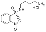 CAS 登录号：349553-74-8， N-(2-硝基苯磺酰基)-1,4-二氨基丁烷盐酸盐