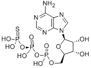 CAS 登录号：35094-46-3， 腺苷-5'-O-(1-硫代三磷酸酯)