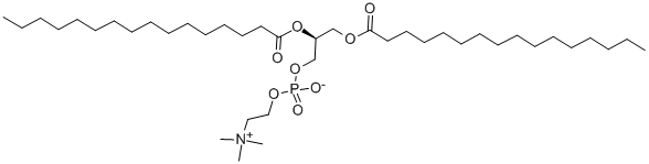 CAS 登录号：35418-55-4， 2,3-二棕榈酰-Sn-甘油-1-磷酰胆碱