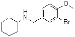 CAS#: 355381-65-6, N-(3-Bromo-4-Methoxybenzyl)Cyclohexanamine