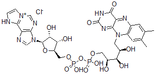 CAS 登录号：38628-24-9， [(2R,3S,4R,5R)-3,4-二羟基-5-(9H-咪唑并[2,1-f]嘌呤-6-鎓-3-基)四氢呋喃-2-基]甲基[[(2S,3R,4R)-5-(7,8-二甲基-2,4-二氧代苯并[g]蝶啶-10-基)-2,3,4-三羟基戊氧基]-羟基磷酰]磷酸氢酯氯化物