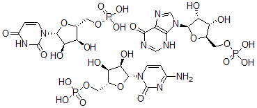 CAS 登录号：38640-92-5， 5'-肌苷酸,均聚物与5'-胞苷酸聚合物与5'-尿甙酸(1:1)的络合物