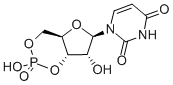 CAS#: 4004-57-3, Uridine 3',5'-Cyclic Monophosphate