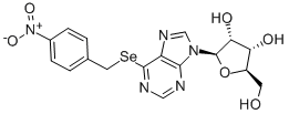 CAS 登录号：40144-12-5， Se-(4-硝基苄基)-6-硒基-肌苷