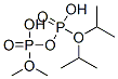 CAS 登录号：40731-72-4， 二磷酸 P1,P1-二甲基 P2,P2-二(1-甲基乙基)酯