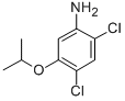 CAS 登录号：41200-96-8， 2,4-二氯-5-异丙氧基苯胺