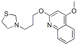 CAS 登录号：41288-12-4， 3-[3-(4-甲氧基喹啉-2-基氧基)丙基]噻唑烷