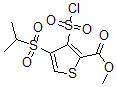 CAS#: 423768-47-2, 3-(Chlorosulfonyl)-4-[(1-Methylethyl)Sulfonyl]-2-Thiophenecarboxylic Acid Methyl Ester