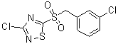 CAS 登录号：444791-18-8， 3-氯-5-[(3-氯苄基)磺酰基]-1,2,4-噻二唑