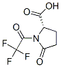 CAS 登录号：46383-55-5， 5-氧代-1-(三氟乙酰基)脯氨酸