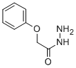CAS 登录号：4664-55-5， 2-苯氧基乙酰肼
