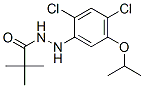 CAS#: 51167-18-1, 2'-[2,4-Dichloro-5-(1-Methylethoxy)Phenyl]-2,2-Dimethylpropionohydrazide