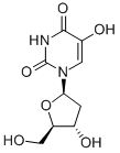 CAS 登录号:5168-36-5, 5-羟基-2'-脱氧尿苷