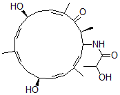 CAS 登录号：51741-82-3， N-[(1R,2E,4E,6S,8E,10E,12S,14E,17S)-6,12-二羟基-3,9,15,17-四甲基-16-氧代环十七碳-2,4,8,10,14-五烯-1-基]-2-羟基丙酰胺