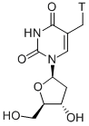 CAS 登录号：52497-68-4， 1-[(2R,4S,5R)-4-羟基-5-(羟基甲基)四氢呋喃-2-基]-5-(三氚甲基)嘧啶-2,4-二酮