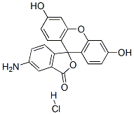 CAS 登录号：53360-53-5， 荧光素胺盐酸盐