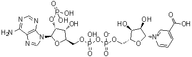 CAS#: 5502-96-5, Nicotinic acid adenine dinucleotide phosphate