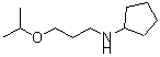 CAS#: 55611-58-0, N-(3-Isopropoxypropyl)Cyclopentanamine