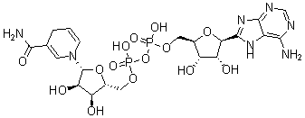 CAS 登录号：58-68-4， 二氢烟酰胺-腺嘌呤二核苷酸