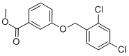 CAS 登录号：58041-99-9， 3-[(2,4-二氯苄基)氧基]苯甲酸甲酯