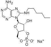 CAS 登录号：59212-44-1， 8-(己基氨基)-腺苷环-3',5'-(氢磷酸酯)