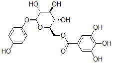 CAS 登录号：5991-00-4， 6-O-没食子酰熊果苷