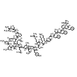 CAS 登录号：600171-68-4， D-苏氨酰-L-丝氨酰甘氨酰-D-脯氨酰-L-亮氨酰甘氨酰-L-天冬氨酰胺酰-L-亮氨酰-L-丙氨酰-L-alpha-谷氨酰-D-alpha-谷氨酰-L-亮氨酰-D-天冬氨酰胺酰甘氨酰-D-酪氨酰-L-丝氨酰-D-精氨酰-L-赖氨酰-L-赖氨酰甘氨酰甘氨酰-D-苯丙氨酰-L-丝氨酰-D-苯丙氨酰-L-精氨酰-D-苯丙氨酰胺